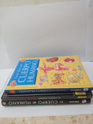 Libros Cuerpo Humano