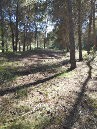 Terreno en venta