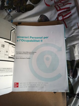 Itinerari Personal per a l'Ocupabilitat II
