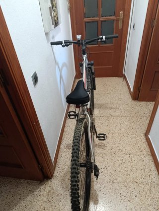 Bicicleta de montaña