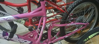 Bicicleta Avigo 20 pulgadas , con cuadro de acero