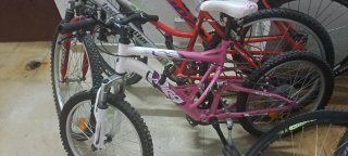 Bicicleta Avigo 20 pulgadas , con cuadro de acero