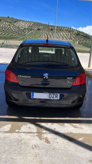 Peugeot 307 2006