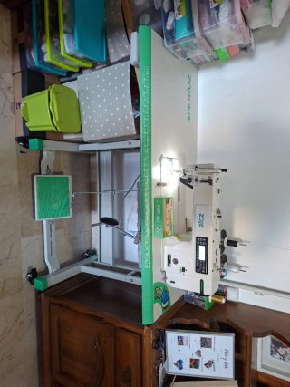 Máquina de coser industrial Zoje