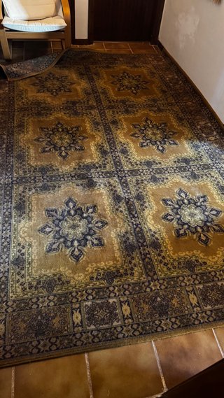 Alfombra diseño oriental 3x2m