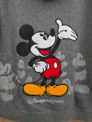 Jersey Mickey Eurodisney Gris Multicolor 14 años