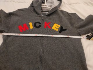 Jersey Mickey Eurodisney Gris Multicolor 14 años