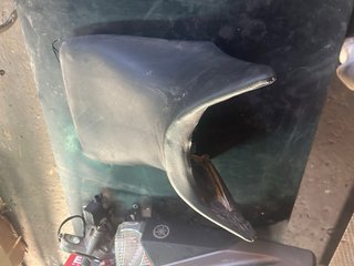 Asiento Honda CBF 600 (2007)