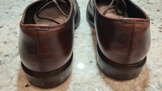 Zapatos Traje Geox marrones
