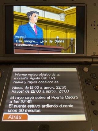 Ace Attorney Trials & Tribulations DS