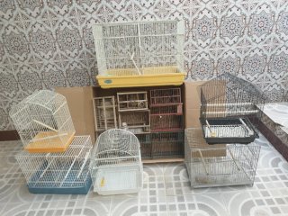 Jaulas y jaulones para pájaros