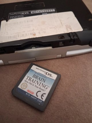 Nintendo DS Plata