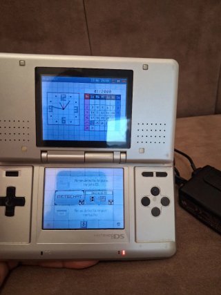 Nintendo DS Plata