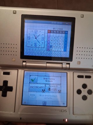 Nintendo DS Plata