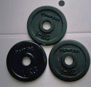 20 Discos de Pesas Domyos 1 KG