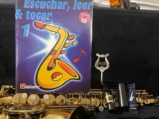 Saxo Alto Buffet Serie 100