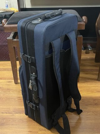 Saxo Alto Buffet Serie 100