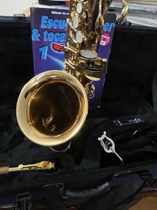 Saxo Alto Buffet Serie 100