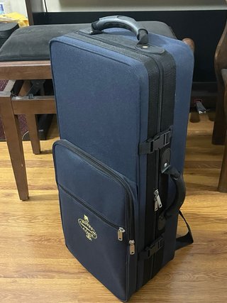 Saxo Alto Buffet Serie 100