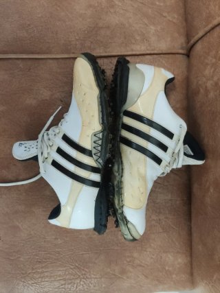 Adidas Traxion Zapatos de Golf