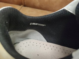 Adidas Traxion Zapatos de Golf