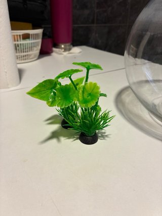 Pecera 3L / Florero Transparente