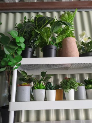 Plantas Artificiales Decorativas