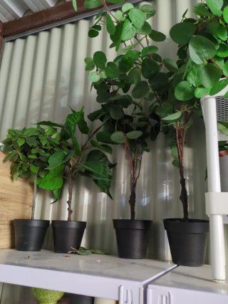 Plantas Artificiales Decorativas