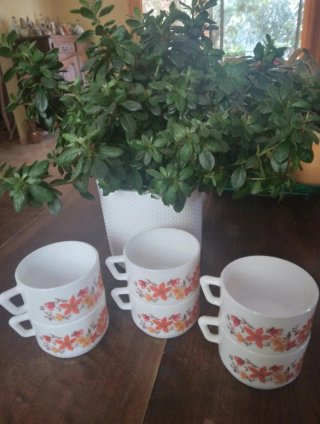 Juego 6 Tazas  de café Arcopal SUNFLOWER flores