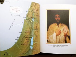 Lutheran Study Bible - English Standard Version