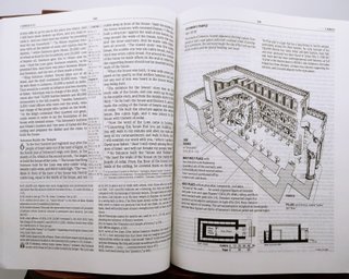 Lutheran Study Bible - English Standard Version