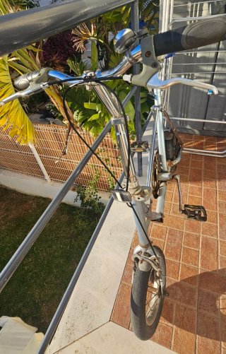 Bicicleta Plegable Plata