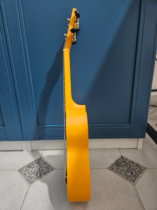 Ukulele stile tiki colorato,