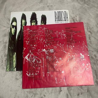 Vinilo Barricada, Pasión por el Ruido
