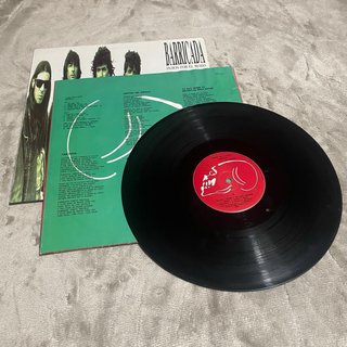 Vinilo Barricada, Pasión por el Ruido
