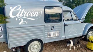 Citroen Dyane acadiane 1980