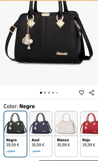 Bolso negro con adornos dorados.