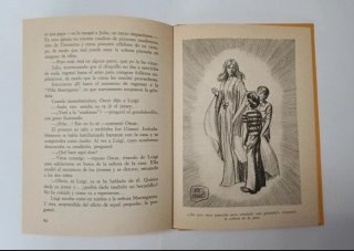 Libro Alarma en Venecia (1979)