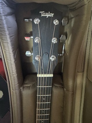Taylor 214 ce Guitarra Acústica