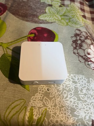 Smart Gateway TYZB1