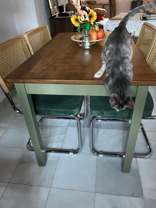 Mesa de comedor madera maciza diseño único