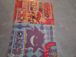 Album completo cromos pokemon