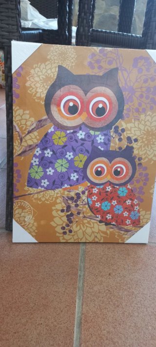 Coppia di quadri decorativi con gufi
