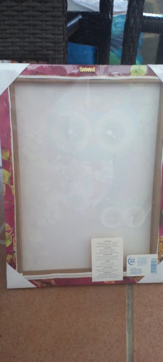 Coppia di quadri decorativi con gufi