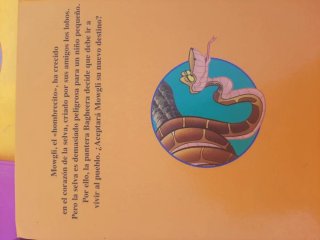 Pack de libros disney