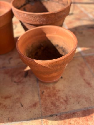 Macetas de terracota para terraza