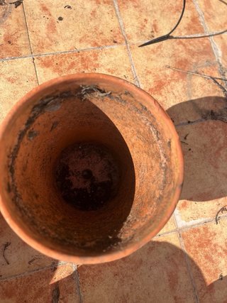Macetas de terracota para terraza