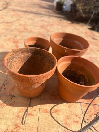 Macetas de terracota para terraza