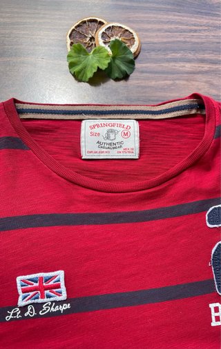Camiseta Springfield