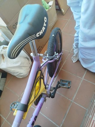 Bicicleta infantil CHATO morada